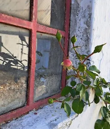 Willa Noldes Hygge Hjem, Staying In South Denmark